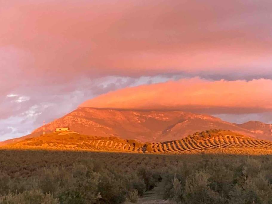 فيلا Casa Picual, Mancha Real, Jaen المظهر الخارجي الصورة
